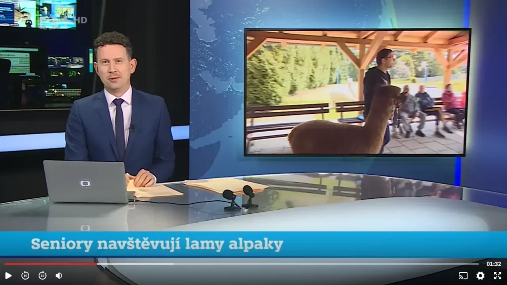 Seniory navštěvují lamy alpaky